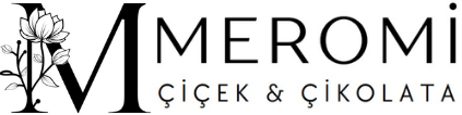 https://www.instagram.com/meromicicek/